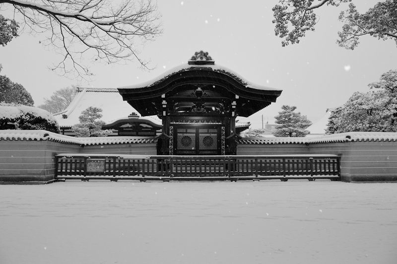 京の雪景色2017 東寺_f0032011_19494126.jpg