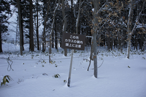 f0359911_14045704.jpg