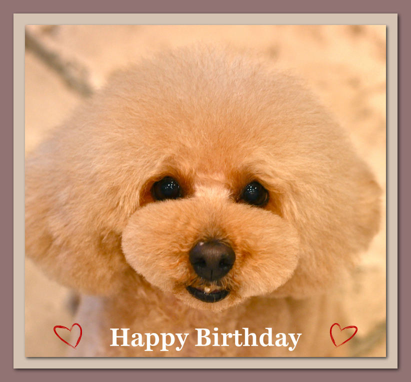 Happy Birthday れんくん♡_d0060413_137241.jpg