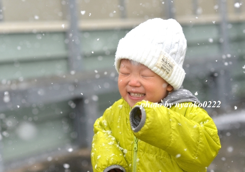 3年ぶりの雪だるま（写真部門）_e0365414_11295956.jpg