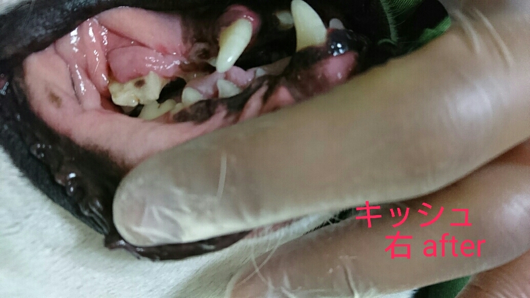 b0274815_23440177.jpg