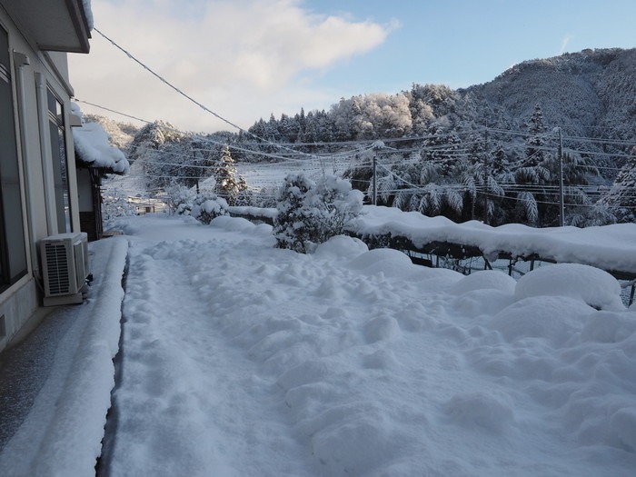 今朝の雪景色_c0116915_2351415.jpg