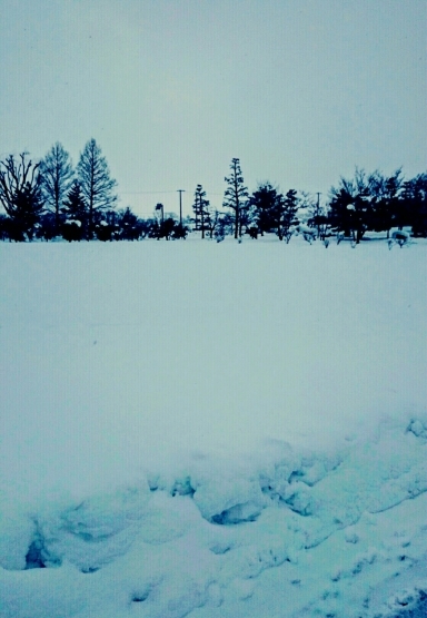 c0250116_21553978.jpg