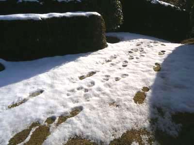 e0122219_20393722.jpg