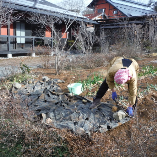 c0310322_20334647.jpg