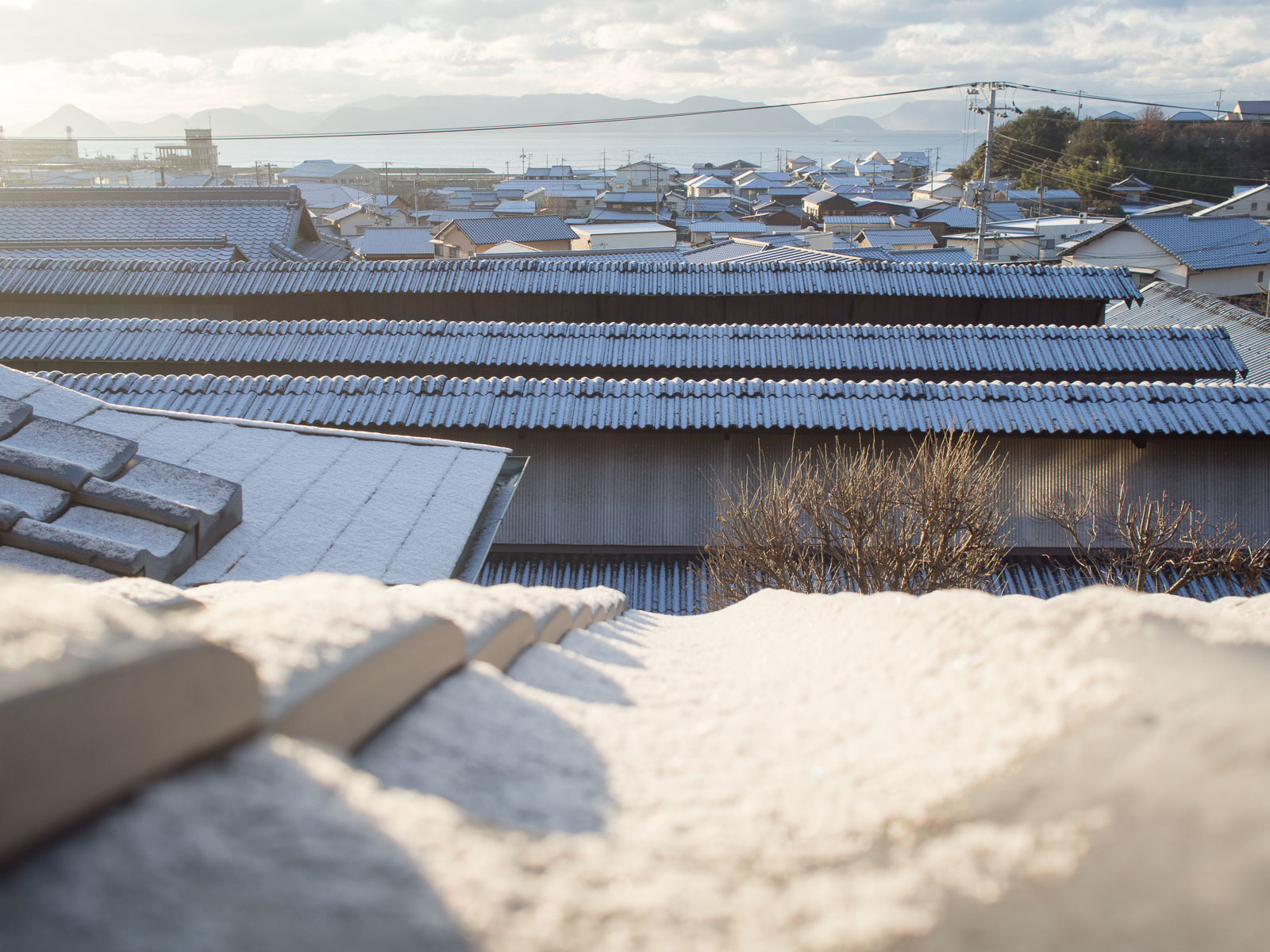 1月15日　雪　宝福寺_c0021726_20330816.jpg