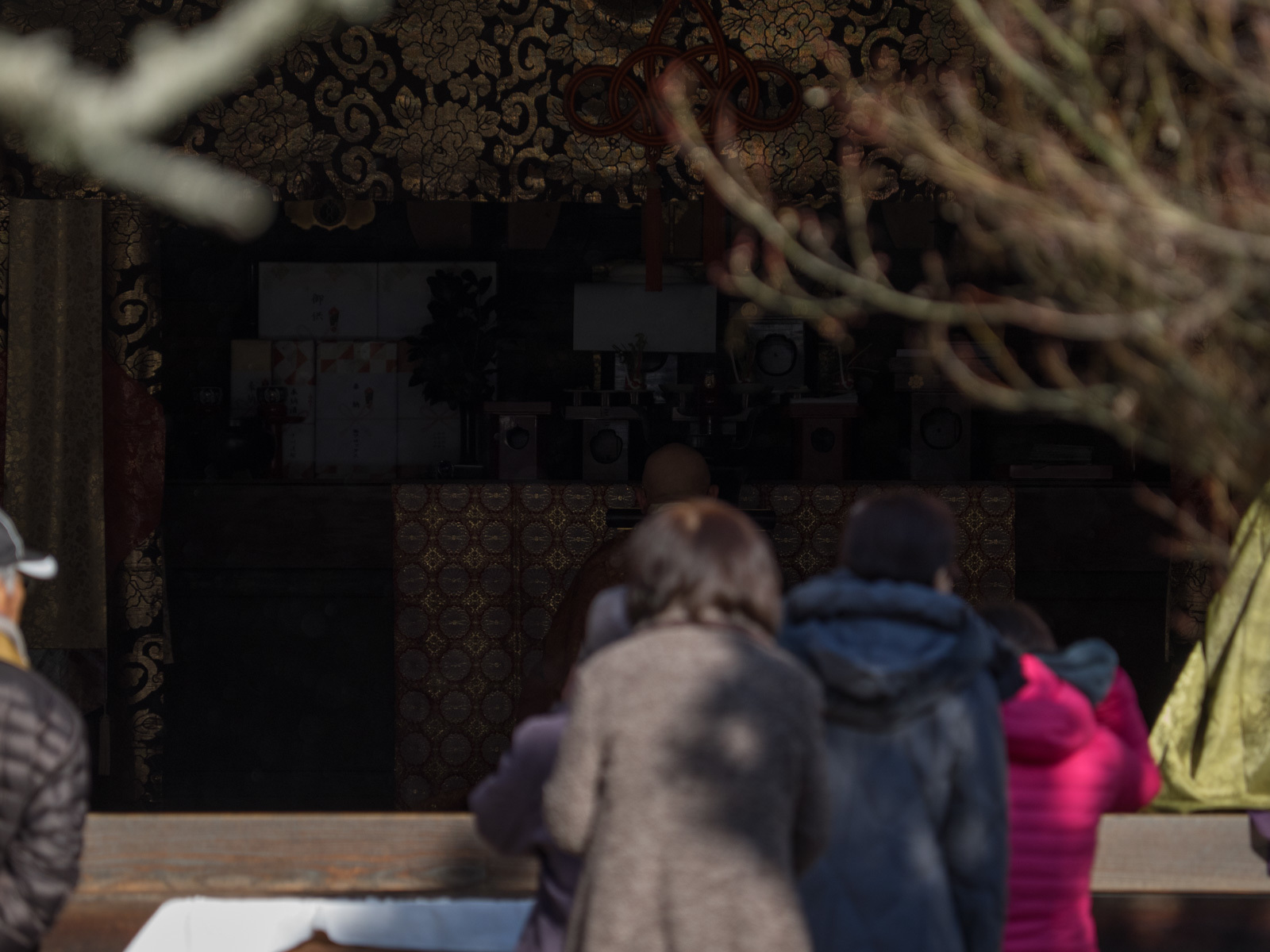 1月15日　雪　宝福寺_c0021726_20333360.jpg