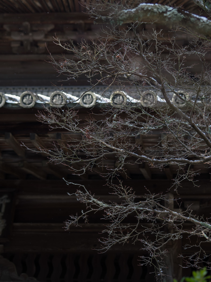 1月15日　雪　宝福寺_c0021726_20335841.jpg