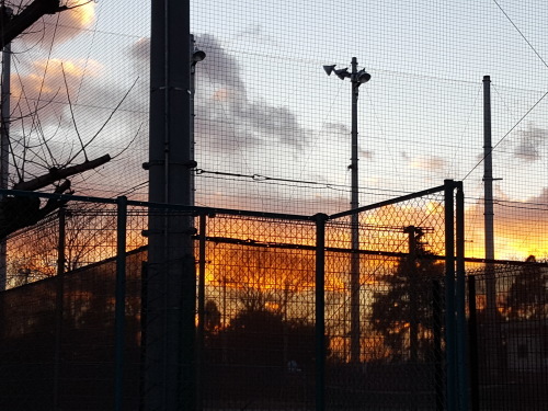 e0016828_11223283.jpg