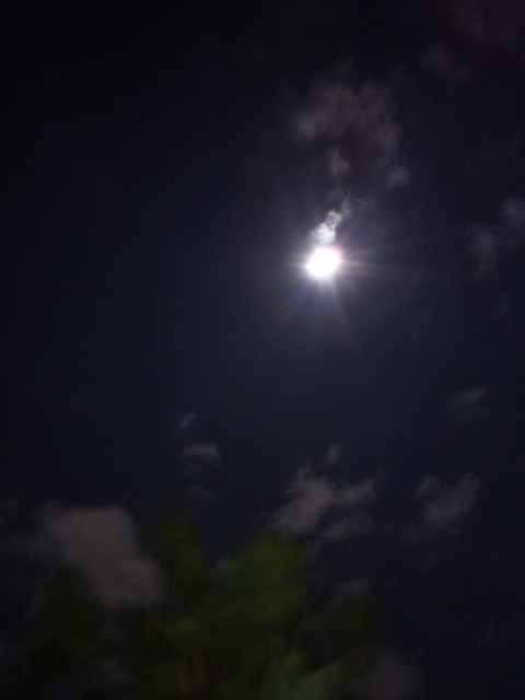 c0056437_9175186.jpg