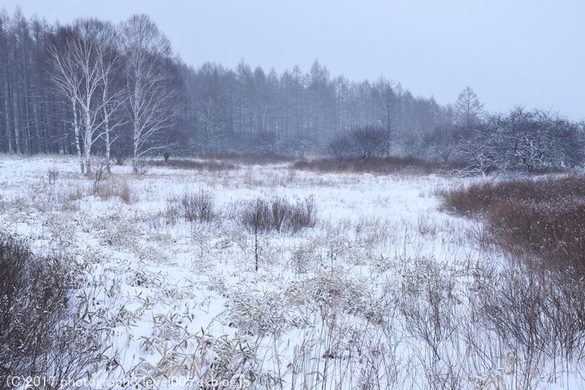 奥日光 戦場ヶ原 雪 1_e0362037_23251444.jpg