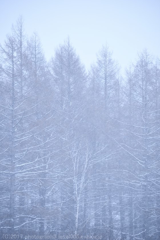 奥日光 戦場ヶ原 雪 1_e0362037_23252000.jpg