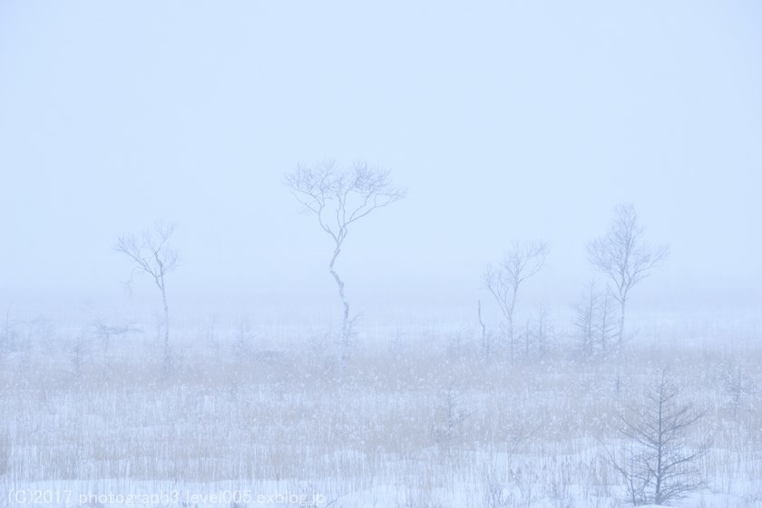 奥日光 戦場ヶ原 雪 1_e0362037_23252517.jpg