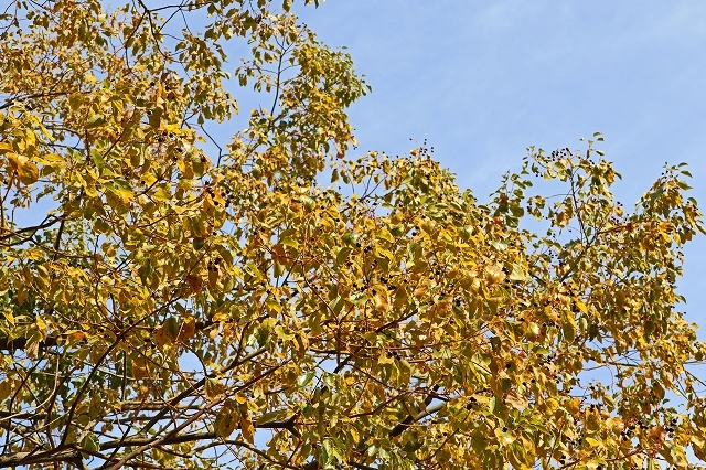 a0242438_19542408.jpg
