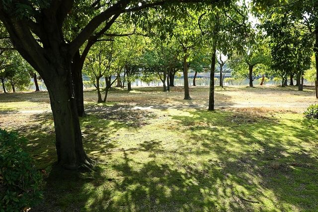 a0242438_19542441.jpg