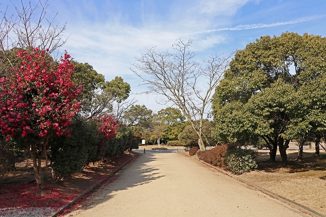a0242438_19560088.jpg
