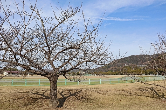 a0242438_19560094.jpg
