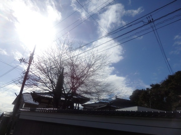 a0054240_21321235.jpg