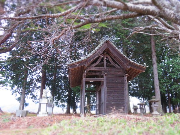 2017年1月17日　ひとつき遅れの山梨だより　その４_b0341140_1943748.jpg