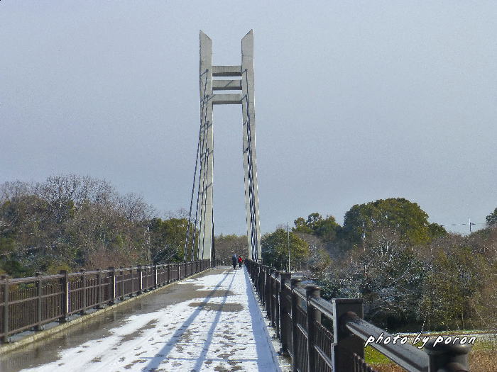 山田池公園にも雪がふりました。_c0137342_1024343.jpg