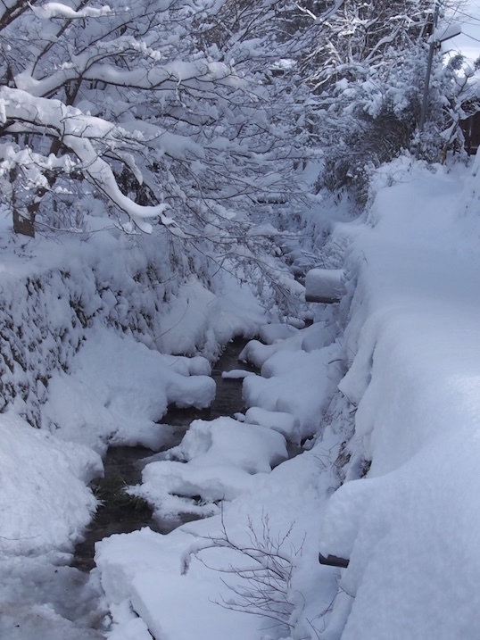 １　雪の大原　抹茶まで（まっちゃまち と ちゃうでぇ）_d0027244_18274936.jpg