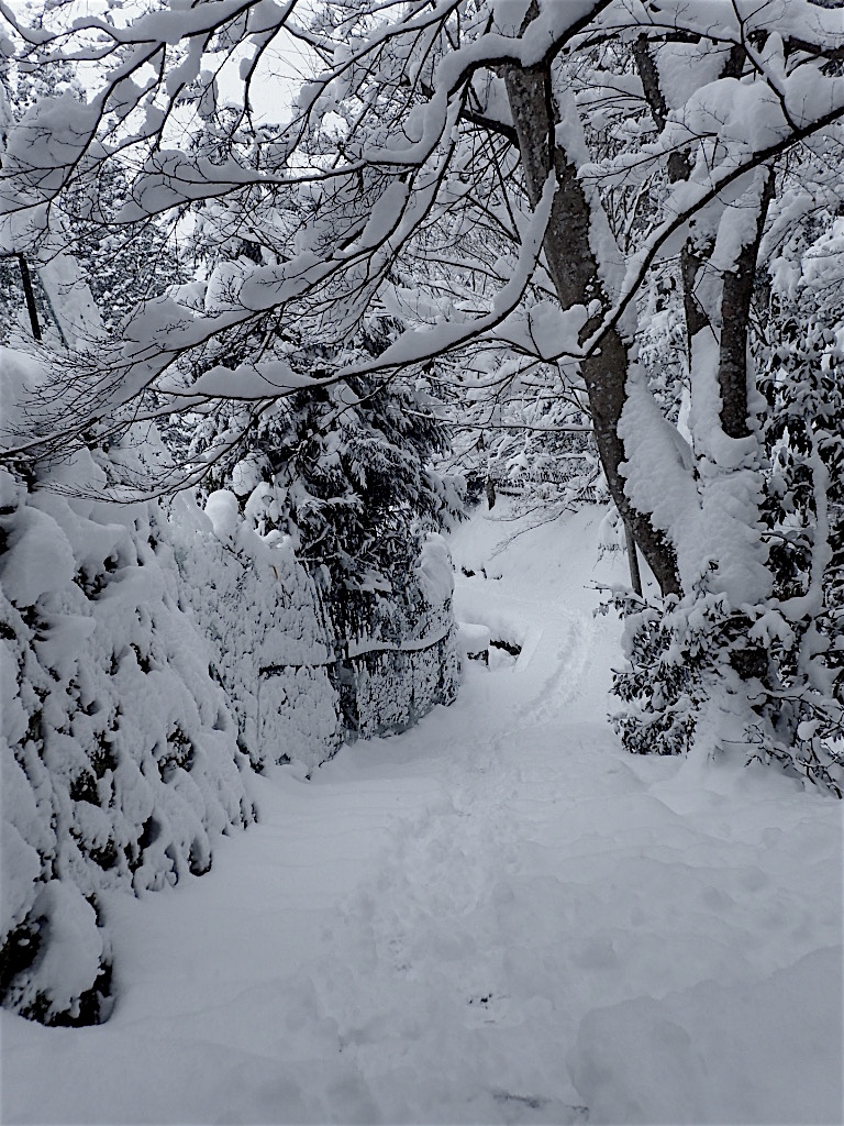 １　雪の大原　抹茶まで（まっちゃまち と ちゃうでぇ）_d0027244_18464651.jpg