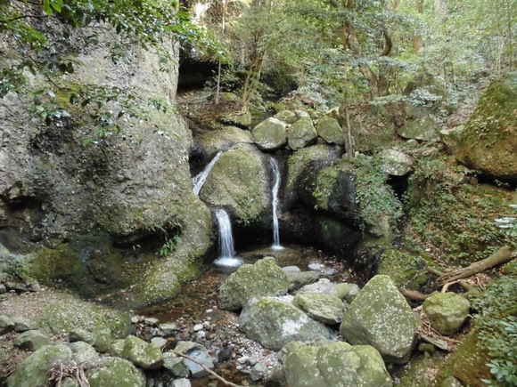 a0206345_1539444.jpg