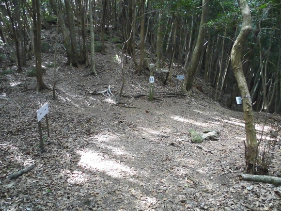 a0206345_1554346.jpg