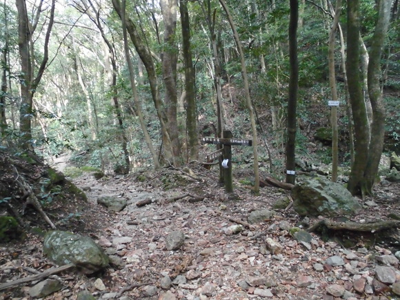 a0206345_16143156.jpg
