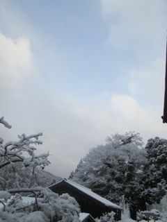a0054948_22133215.jpg