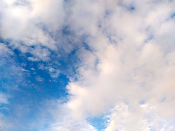 c0335348_18514485.jpg