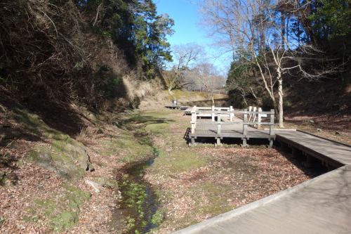 b0325549_20230830.jpg