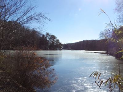 b0220251_525287.jpg