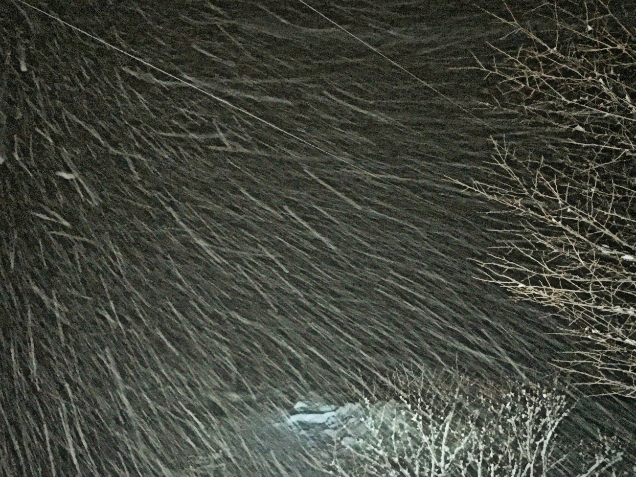 e0105954_23301310.jpg