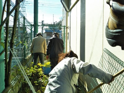 2017年1月月例会「誘引」 と 新年会_a0094959_0135688.jpg