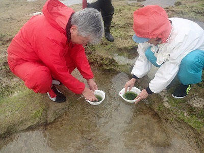 c0180460_13231061.jpg