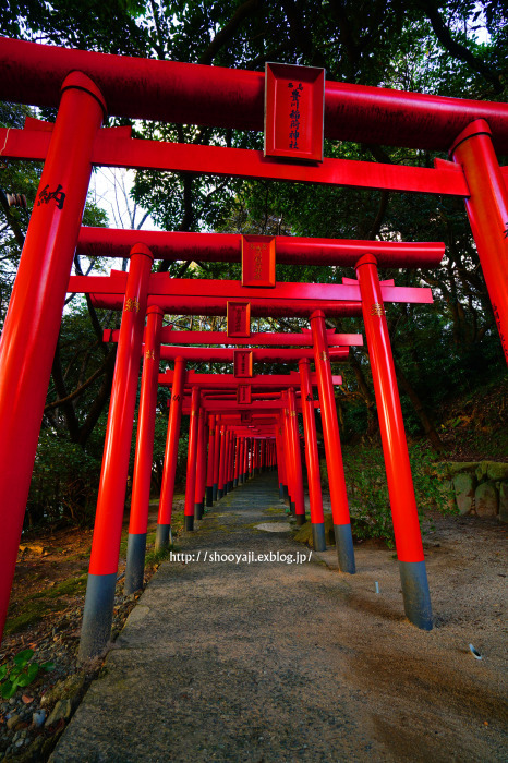 名島神社・・・（写真部門）_a0333661_11314331.jpg