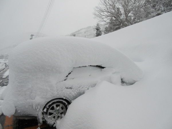 かぐら　　スキー  　大雪警報_d0010065_22405954.jpg