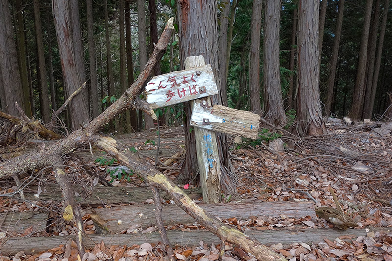 オッサン登山の会・陣馬山の段-2 2017年1月14日_d0123571_23141117.jpg