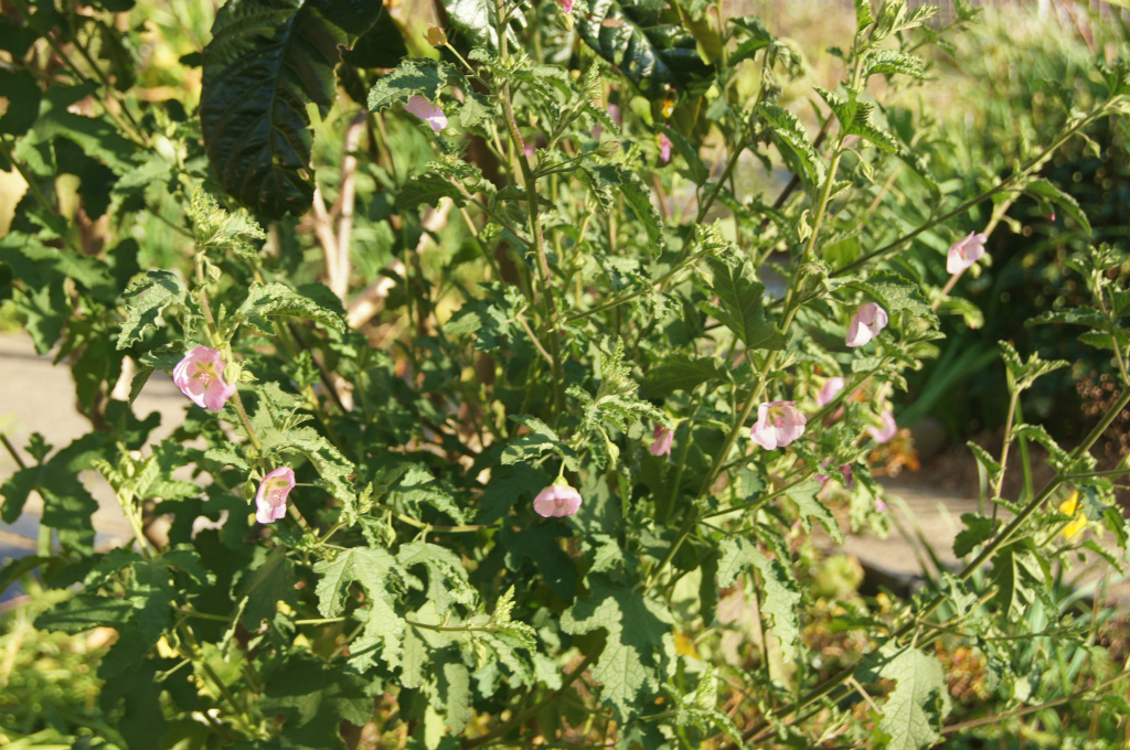 e0181373_2113209.jpg