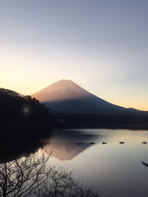 あけましておめでとうございます_f0193680_16254524.jpg