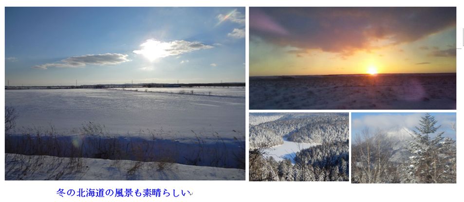 c0111581_1540252.jpg