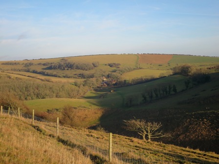 a0208783_111464.jpg
