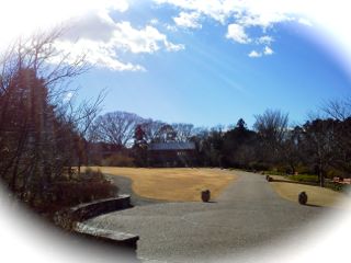 c0149195_2151149.jpg