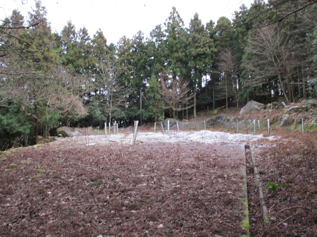 国東半島里山徘徊　①ミイケヒラ～伊美山　2017.1.14（土）_a0166196_14503152.jpg