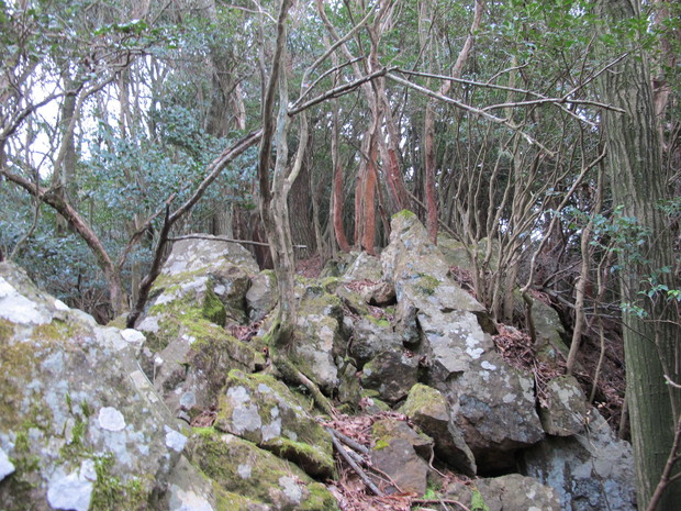 a0166196_1452118.jpg