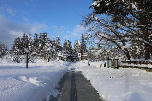 朝の冬景色　1月17日（小寒・末候）　雉始めて雊（きじ　はじめて　なく）・・・３_c0075701_18352538.jpg