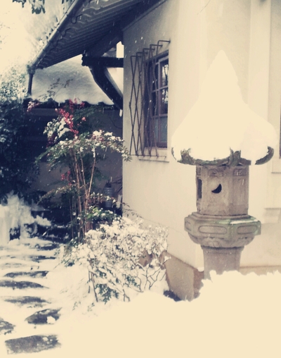 ゆき_d0180301_16482829.jpg