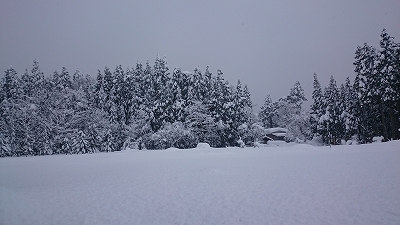 c0163102_22563267.jpg