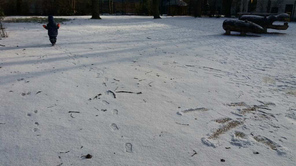 e0149604_05533363.jpg